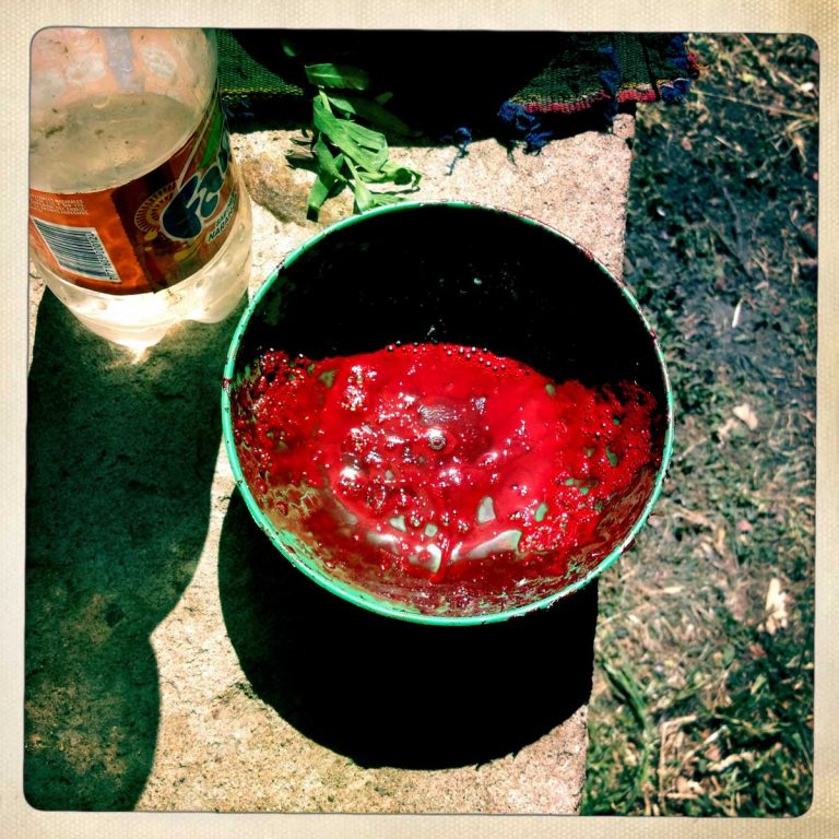K'aria, Potosì department, Bolivia. May 2014. A pot with fresh lama blood. Killing a lama and drinking its blood is part of the tradition. According to the people of the Andes, Mother Earth demands blood to be fertilized.