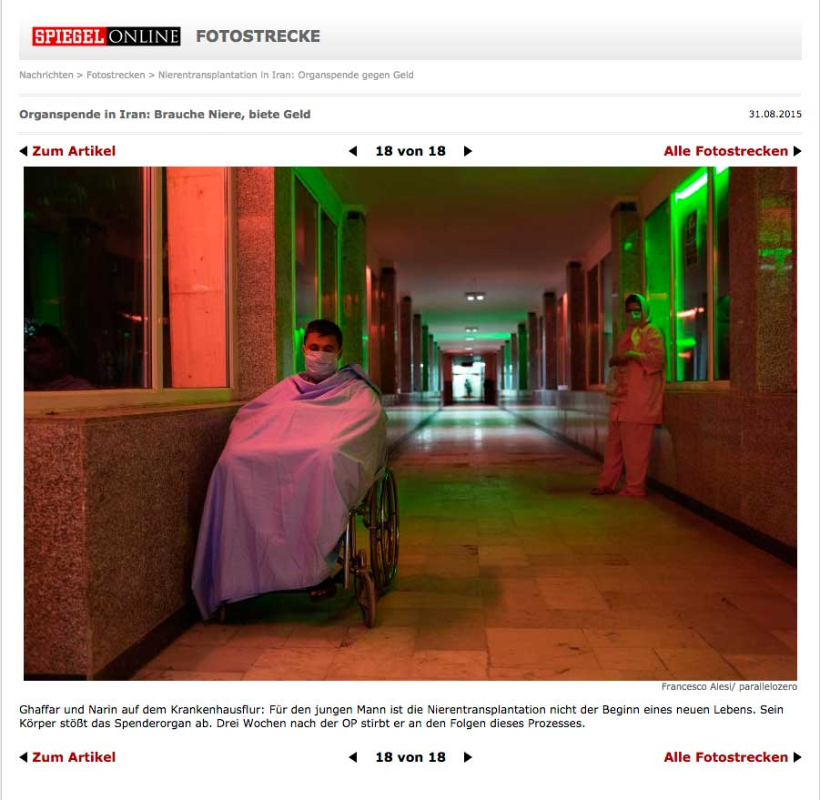 Spiegel on line - Germany - September 2015